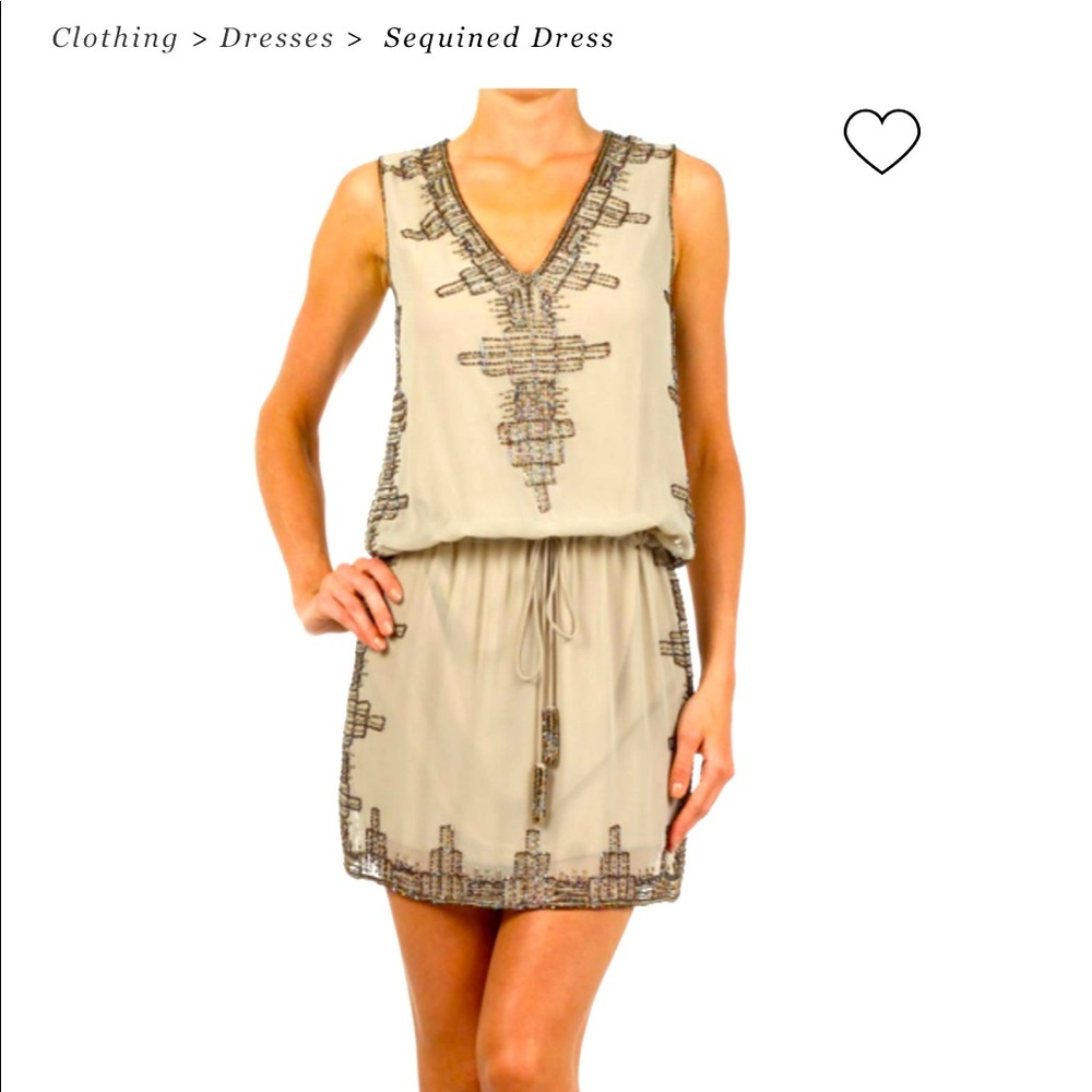 Freeway sequined dress size medium